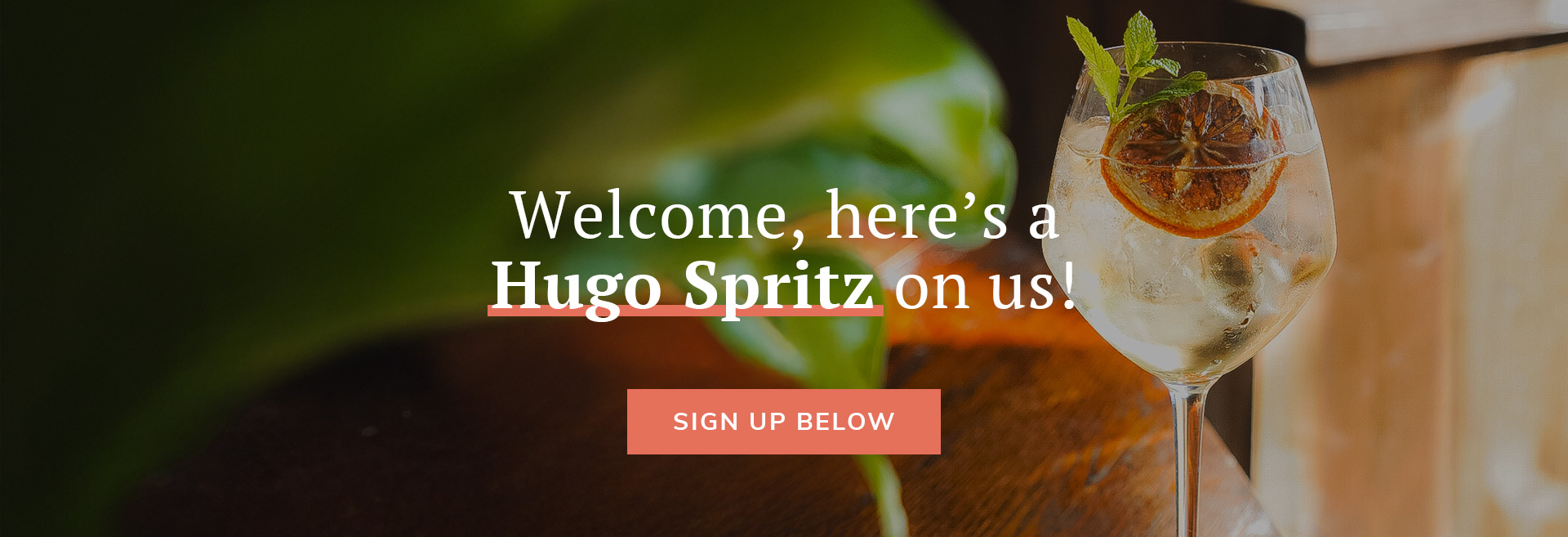 Sign up to the newsletter at Harry Cook Free House